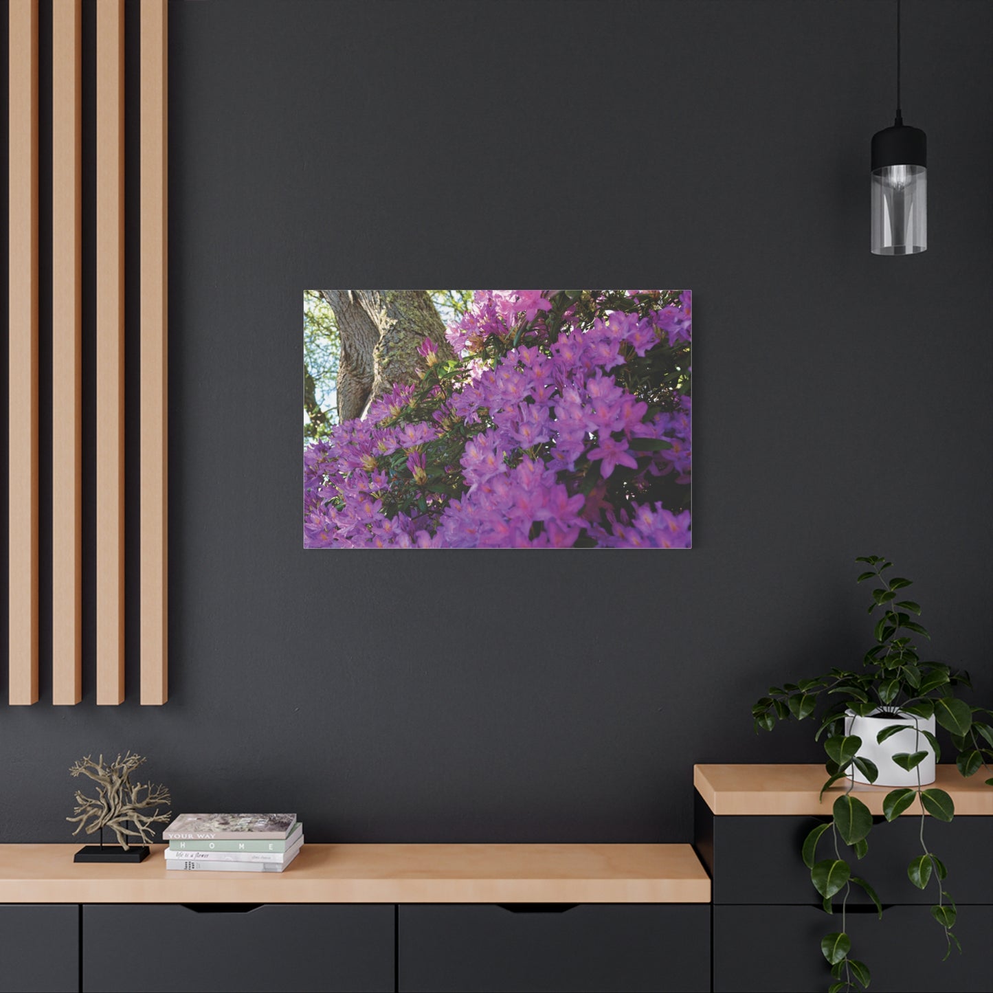 Azaleas in Bloom 3011 - Thick Matte Canvas Print