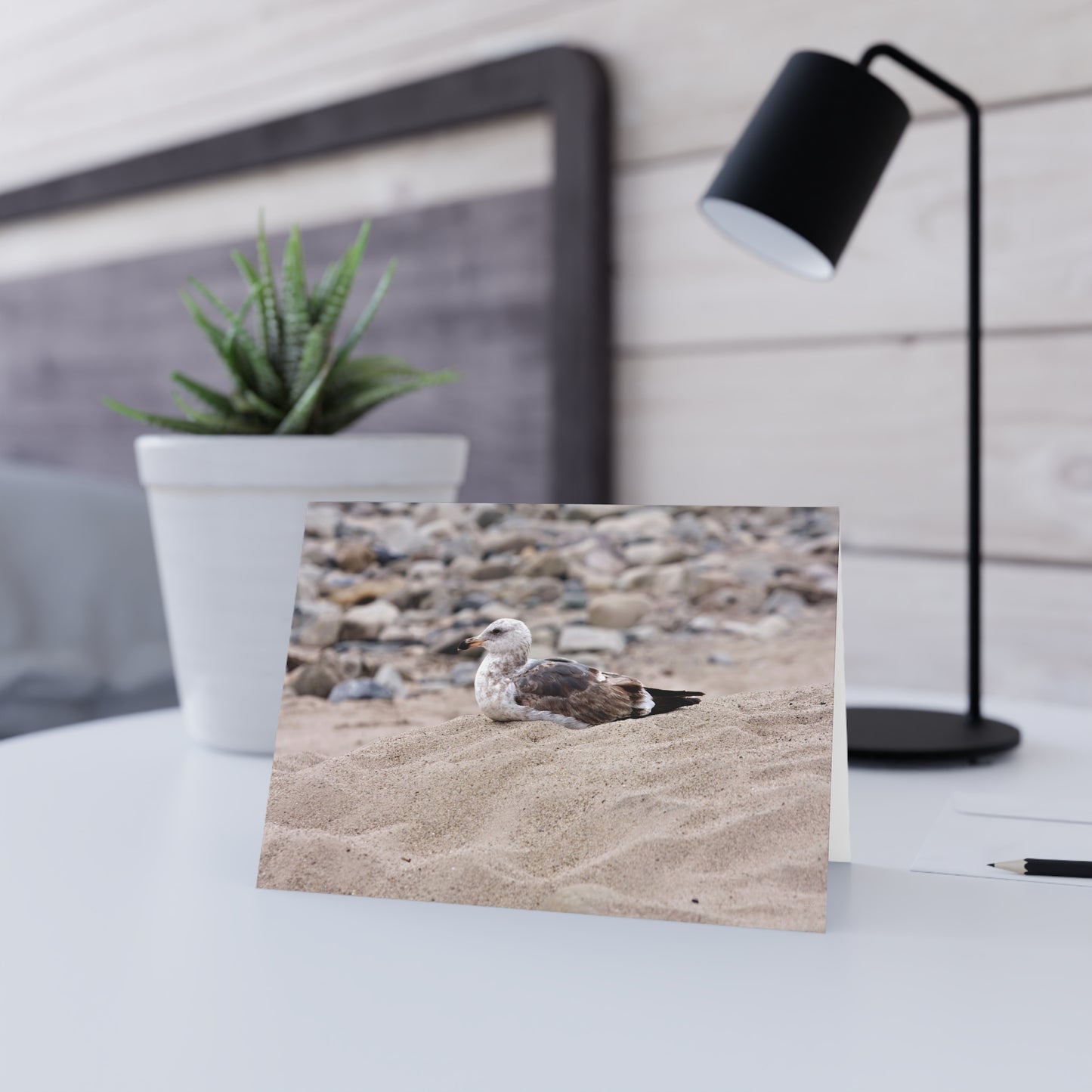 Seagull Serenity on the Shore 4278 - Greeting Card