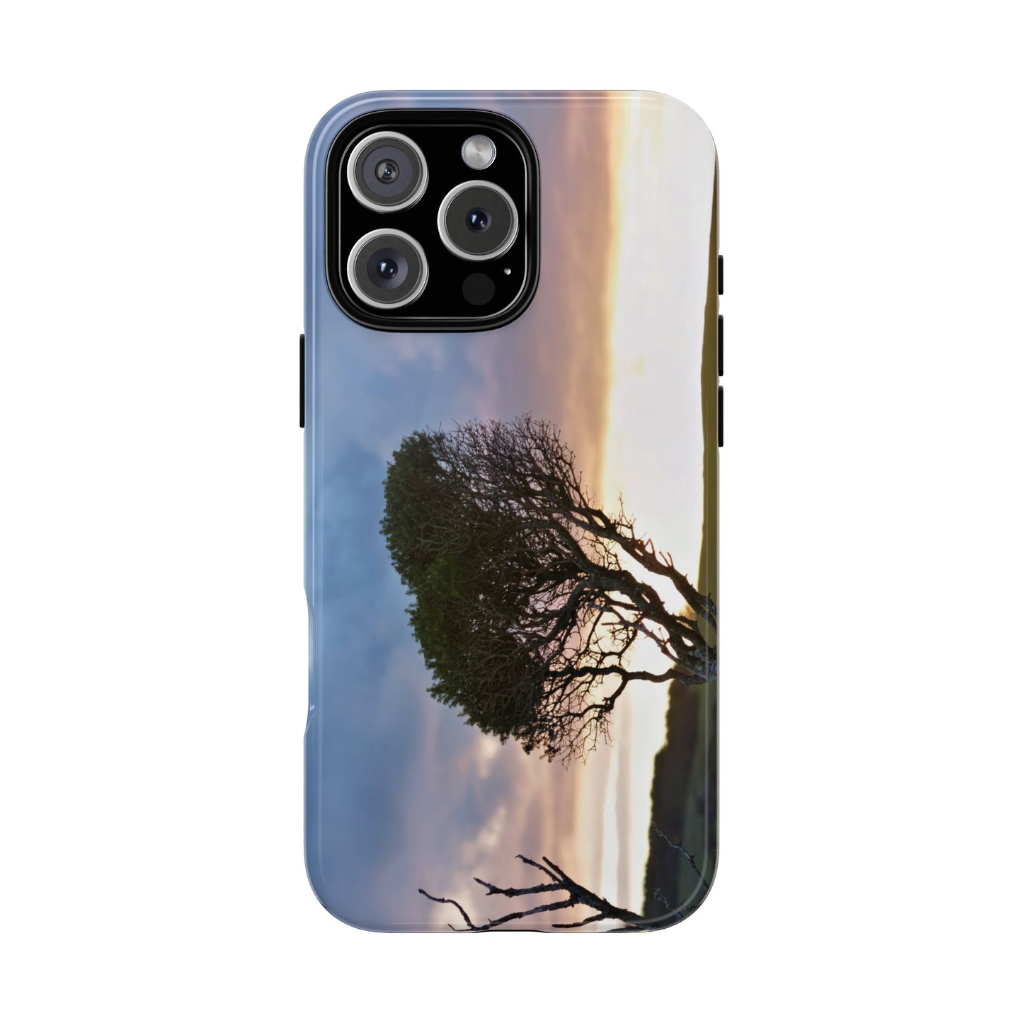 Serene Landscape of a Winter Sunrise: Melaleuca lanceolata in Cape Schank 6281 - Tough Case