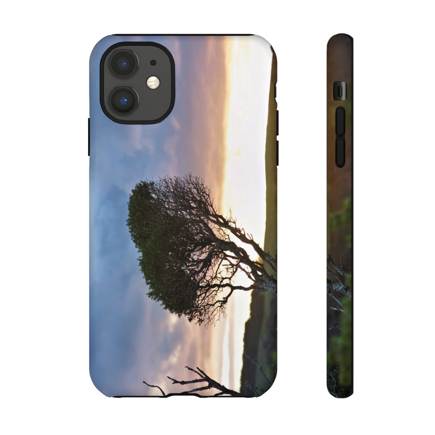Serene Landscape of a Winter Sunrise: Melaleuca lanceolata in Cape Schank 6281 - Tough Case