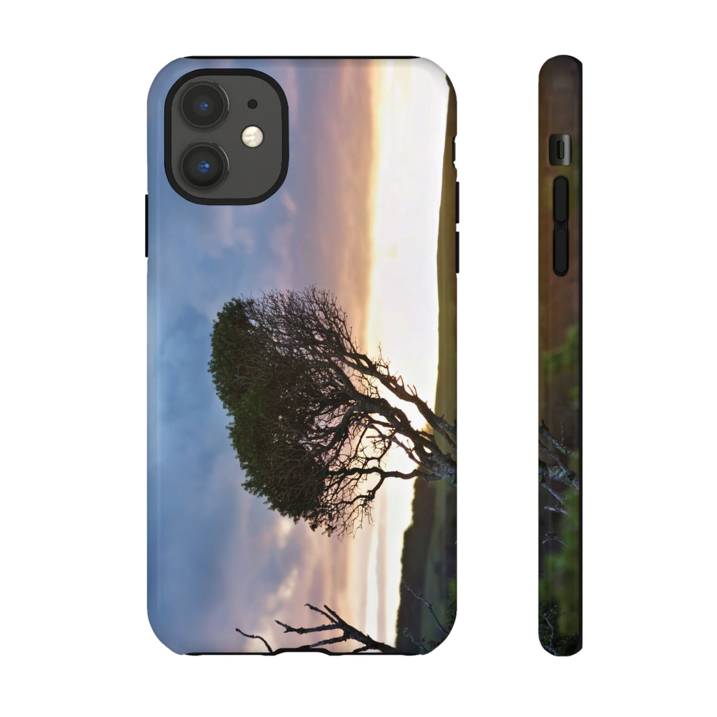 Serene Landscape of a Winter Sunrise: Melaleuca lanceolata in Cape Schank 6281 - Tough Case