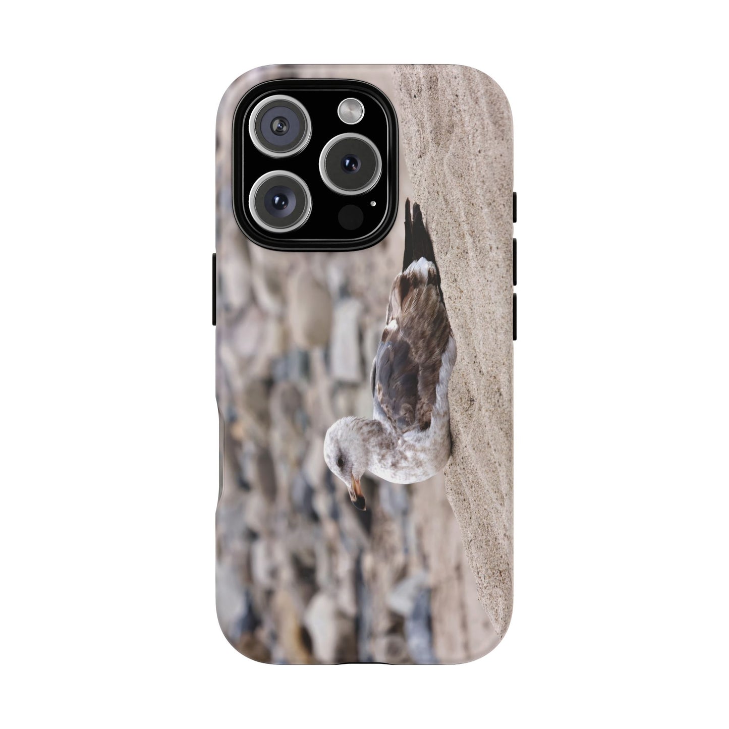 Seagull Serenity on the Shore 4278 - Tough Case