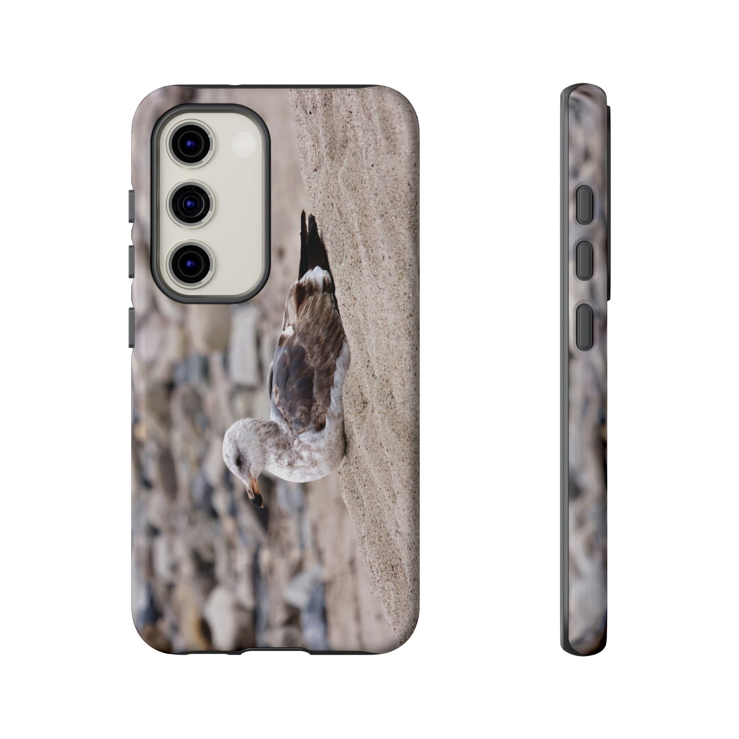 Seagull Serenity on the Shore 4278 - Tough Case