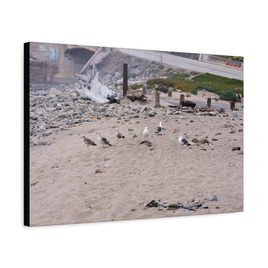 California Shoreline Escape 4275 - Thick Matte Canvas Print