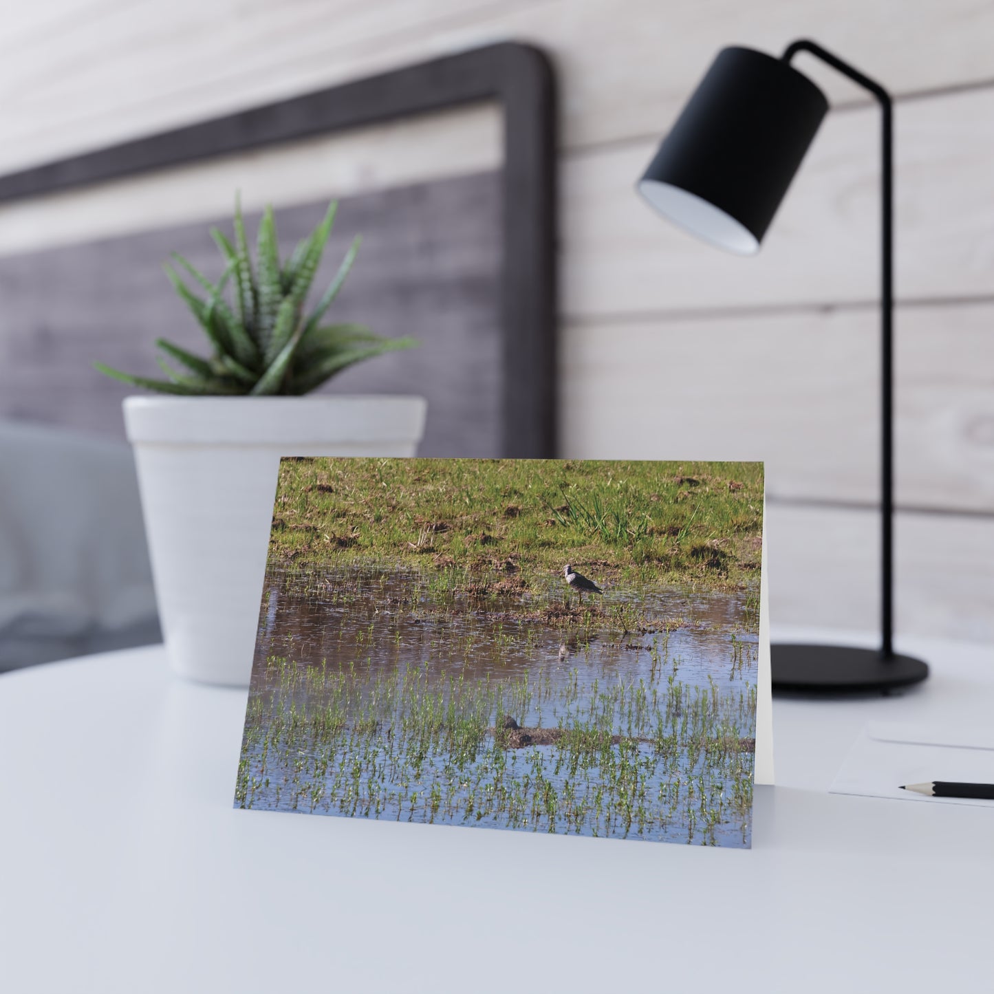 Sandpiper in Serene Wetland at the Willam L. Finley National Wildlife Refuge 2897 - Greeting Card