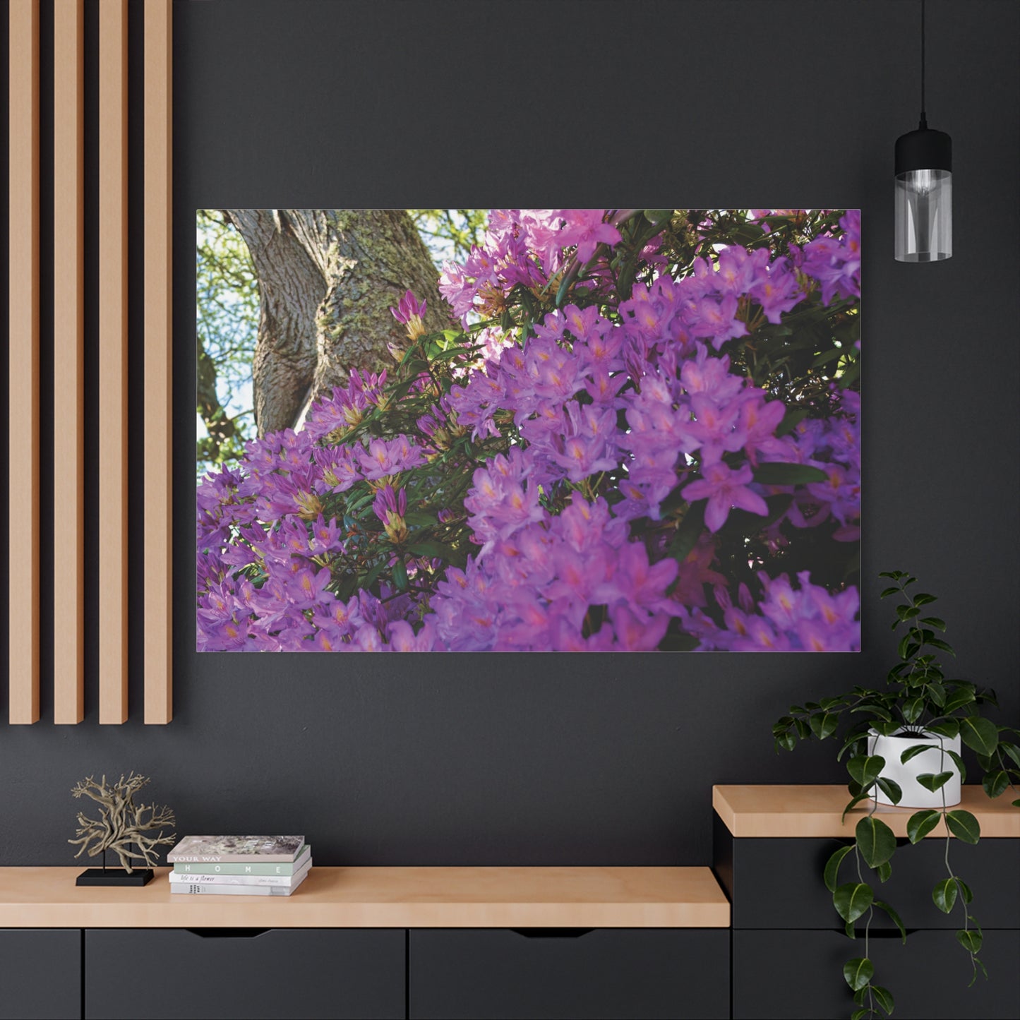 Azaleas in Bloom 3011 - Thick Matte Canvas Print