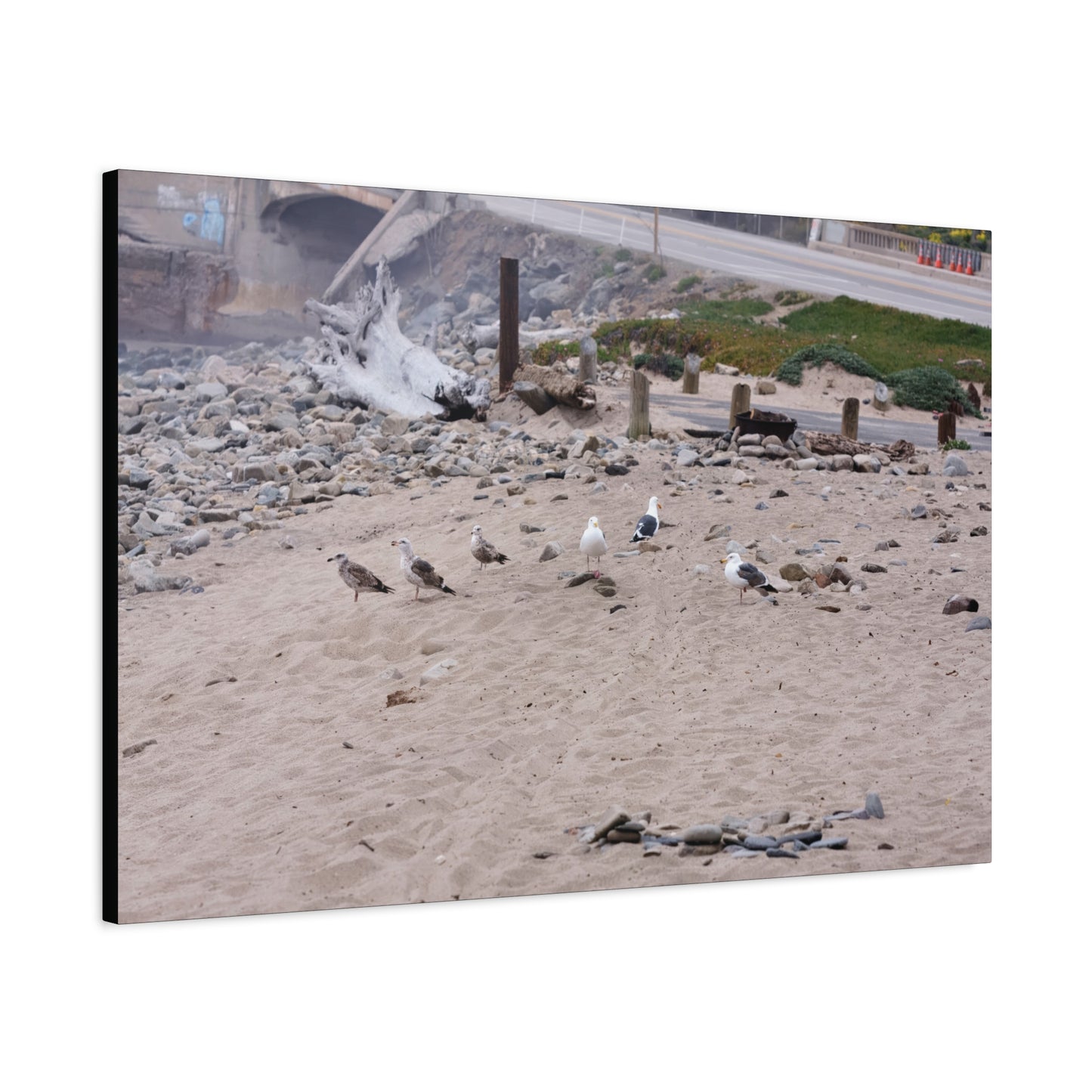 California Shoreline Escape 4275 - Thick Matte Canvas Print