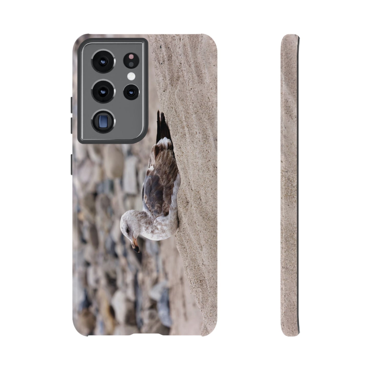 Seagull Serenity on the Shore 4278 - Tough Case