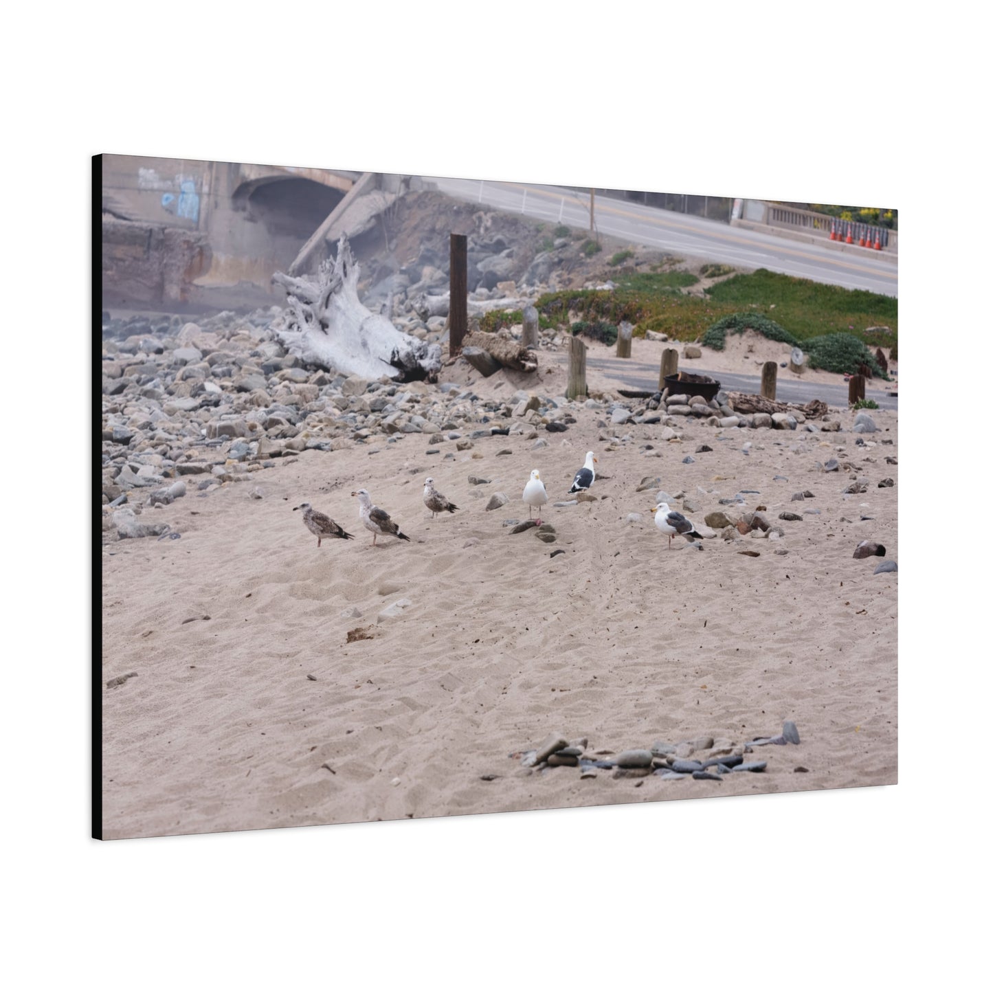 California Shoreline Escape 4275 - Thick Matte Canvas Print