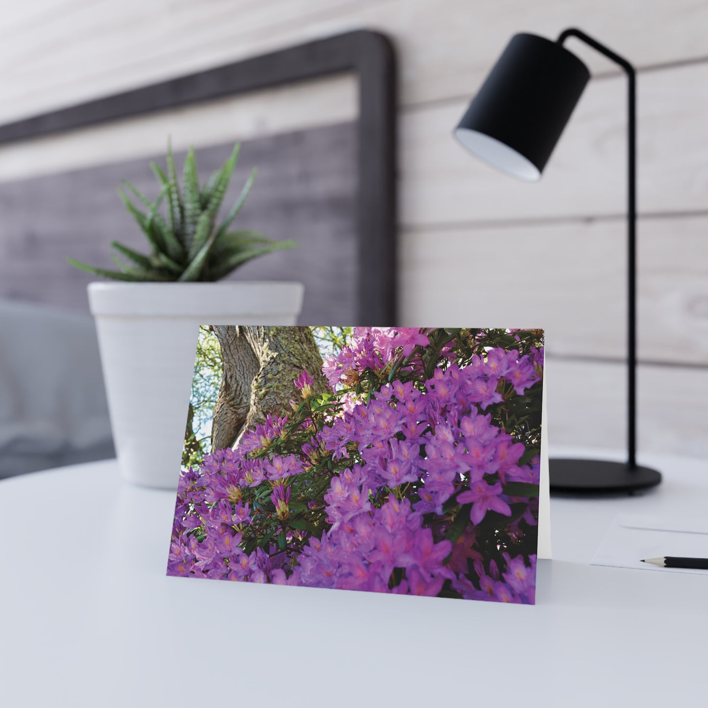 Azaleas in Bloom 3011 - Greeting Card