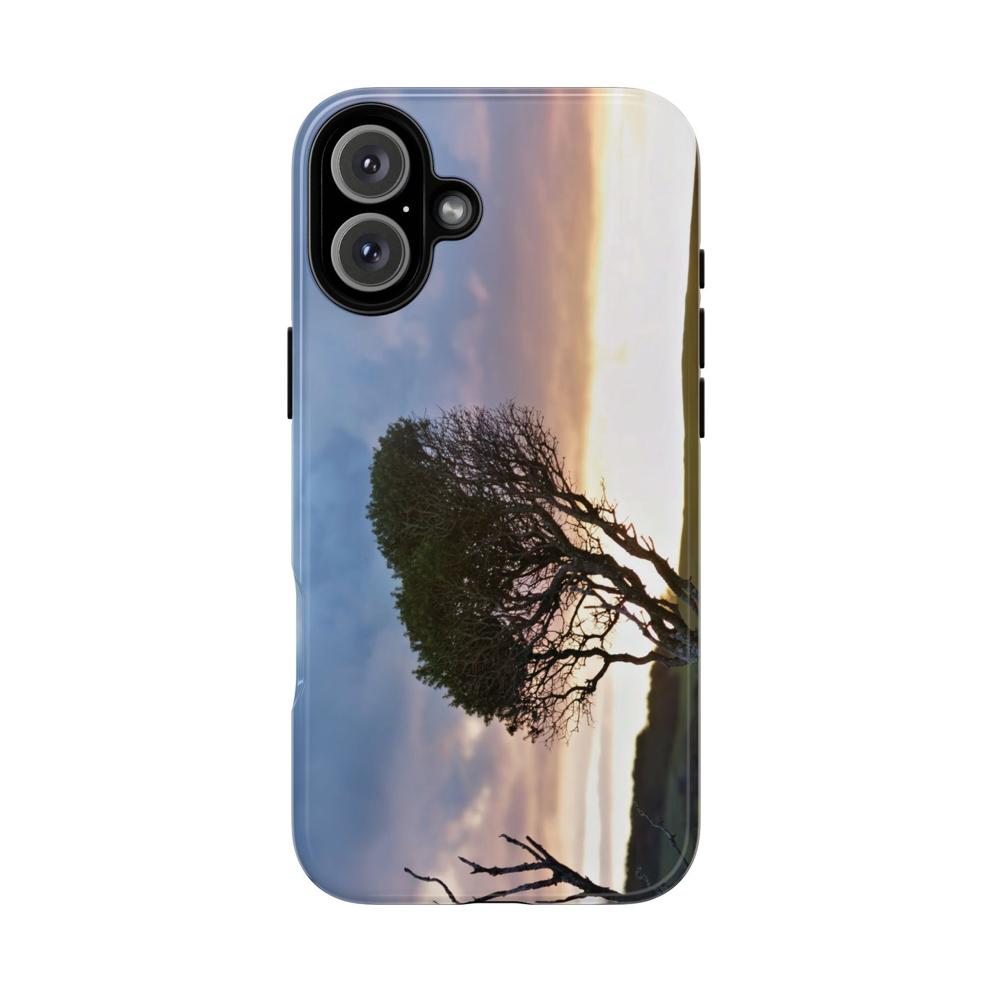 Serene Landscape of a Winter Sunrise: Melaleuca lanceolata in Cape Schank 6281 - Tough Case