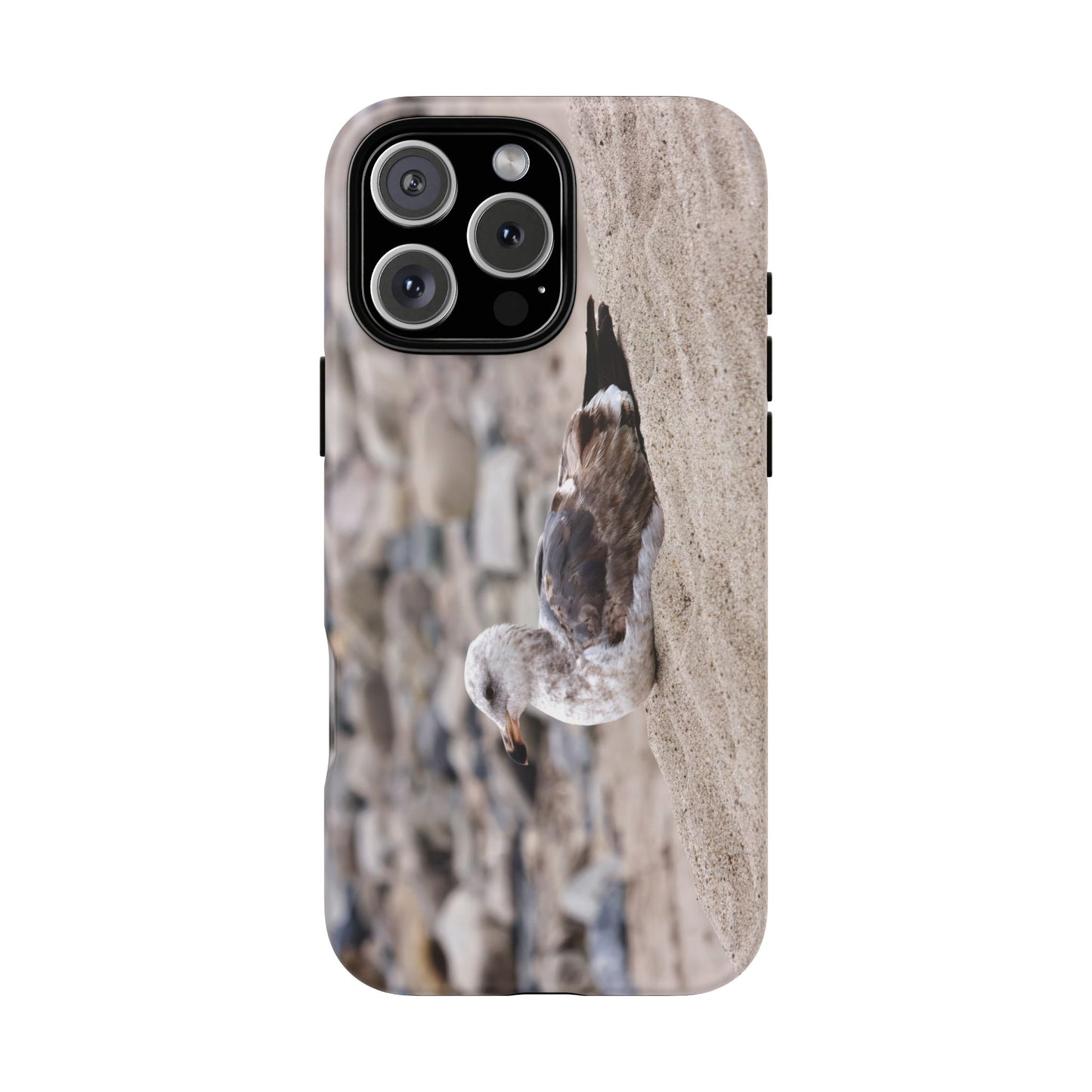 Seagull Serenity on the Shore 4278 - Tough Case
