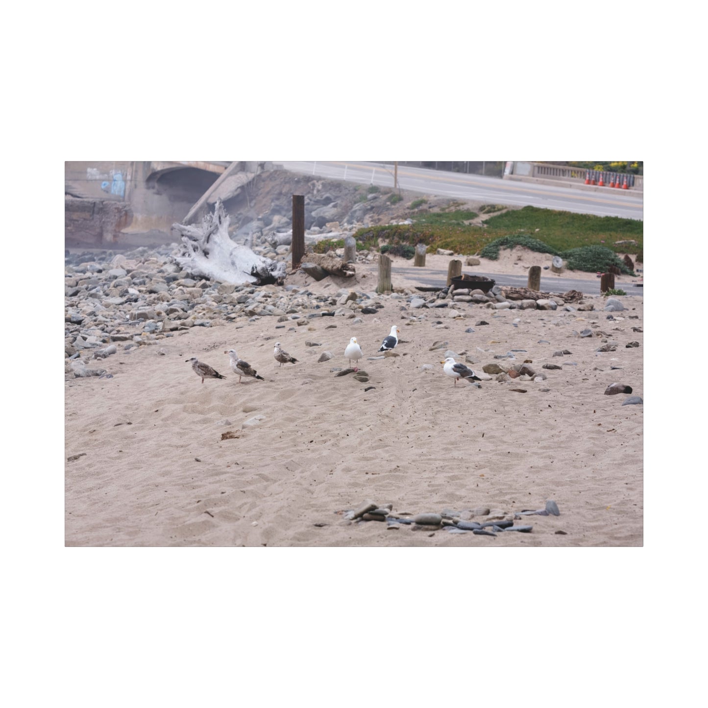 California Shoreline Escape 4275 - Thick Matte Canvas Print