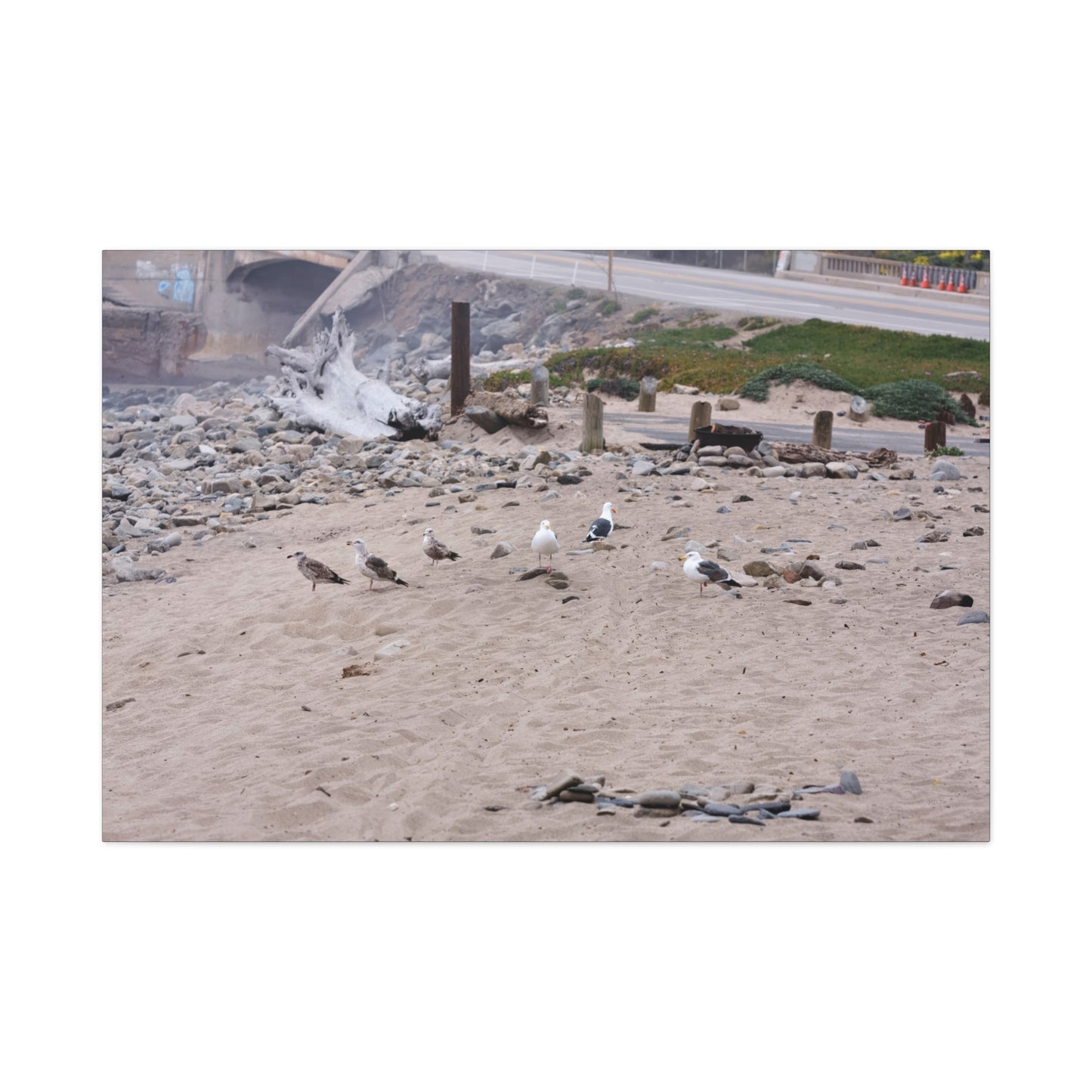 California Shoreline Escape 4275 - Thick Matte Canvas Print