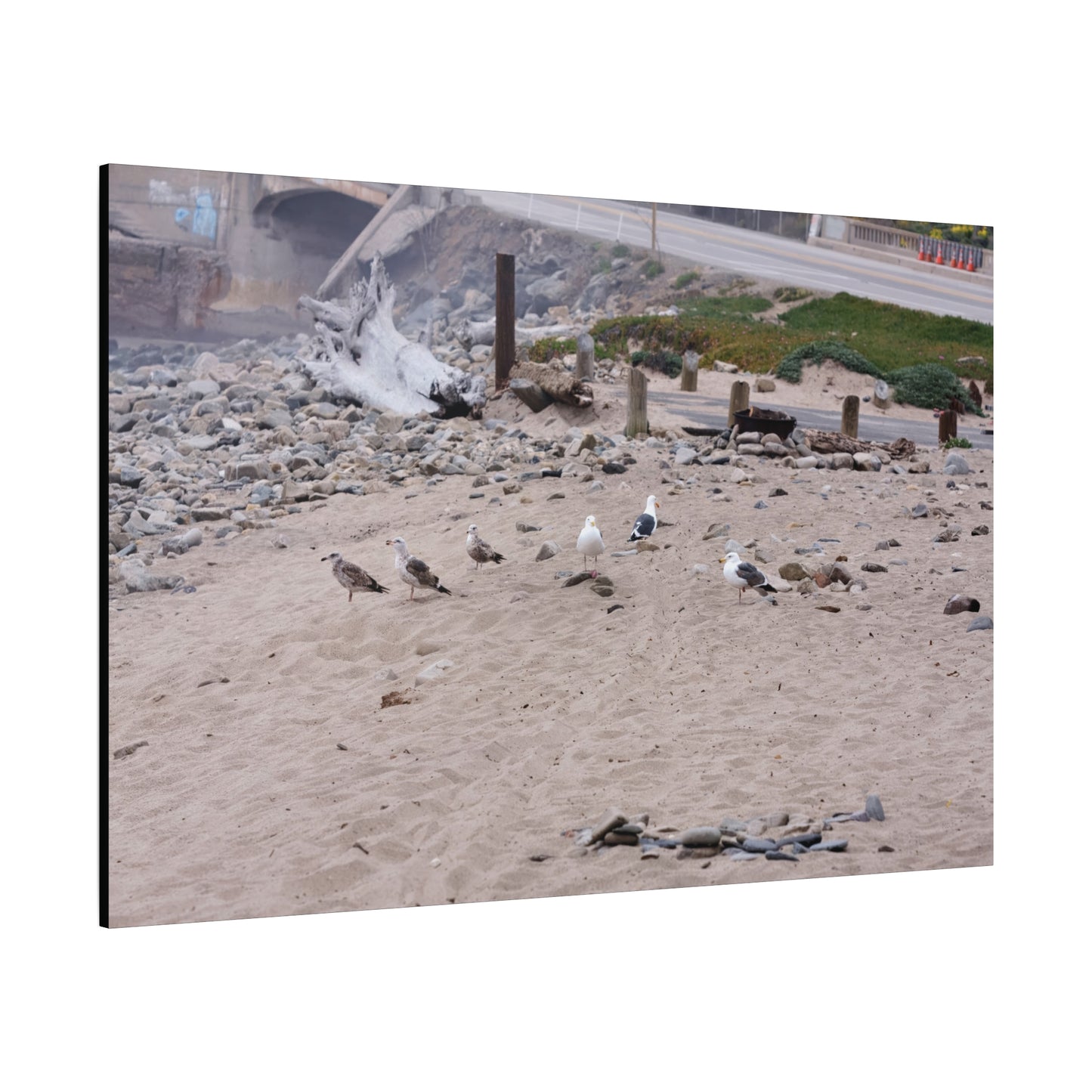 California Shoreline Escape 4275 - Thick Matte Canvas Print