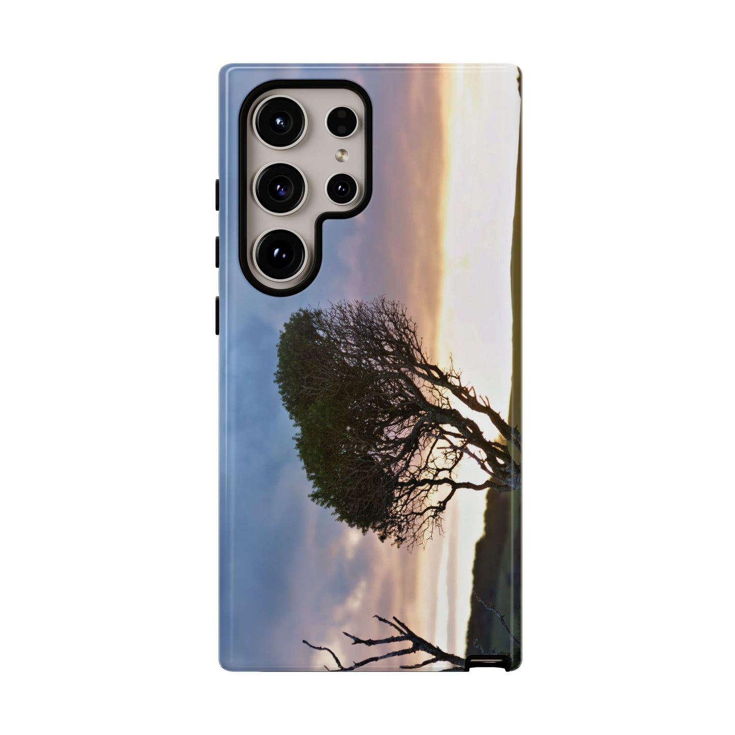 Serene Landscape of a Winter Sunrise: Melaleuca lanceolata in Cape Schank 6281 - Tough Case