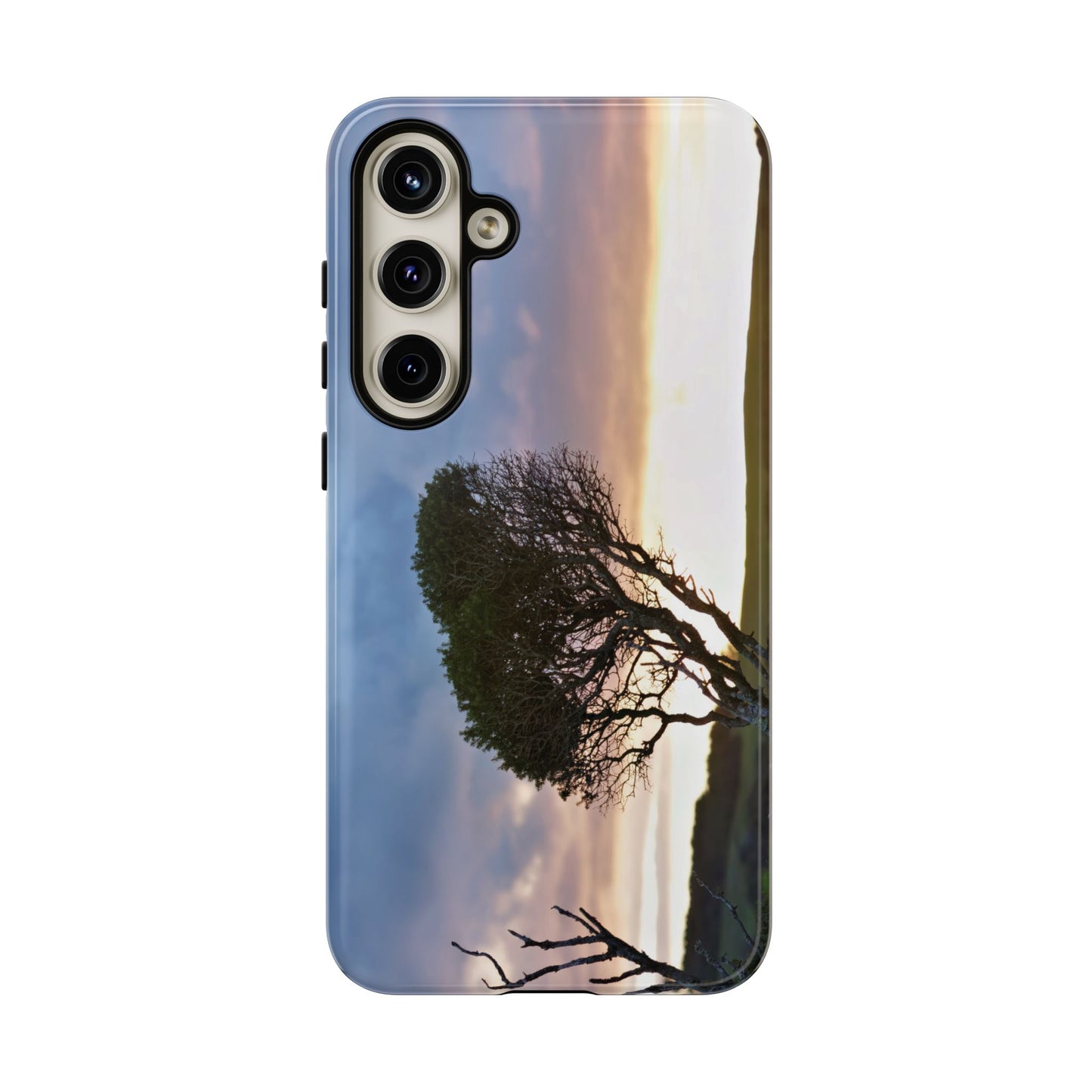 Serene Landscape of a Winter Sunrise: Melaleuca lanceolata in Cape Schank 6281 - Tough Case