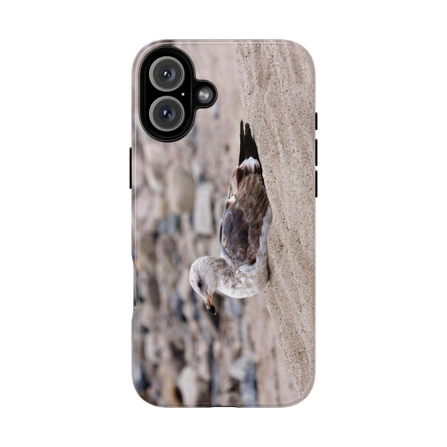 Seagull Serenity on the Shore 4278 - Tough Case