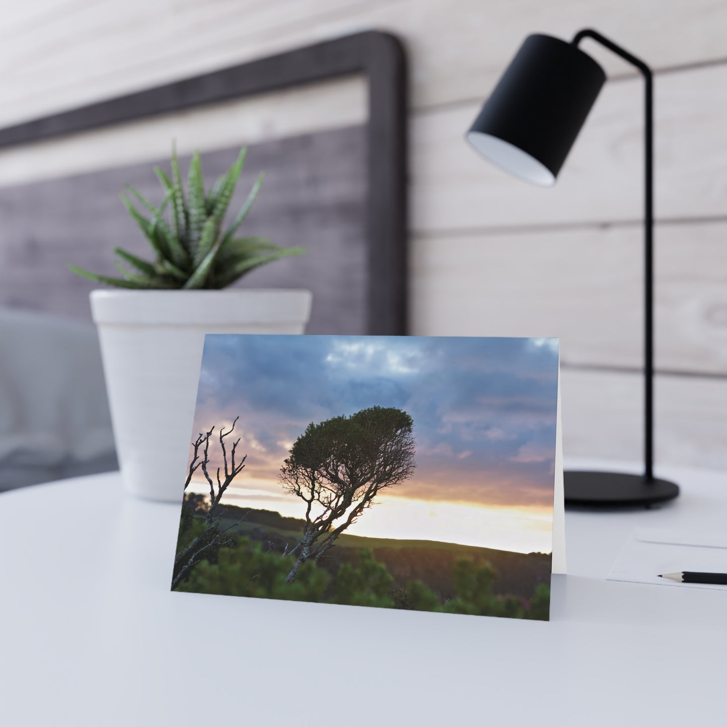 Serene Landscape of a Winter Sunrise: Melaleuca lanceolata in Cape Schank 6281 - Greeting Card