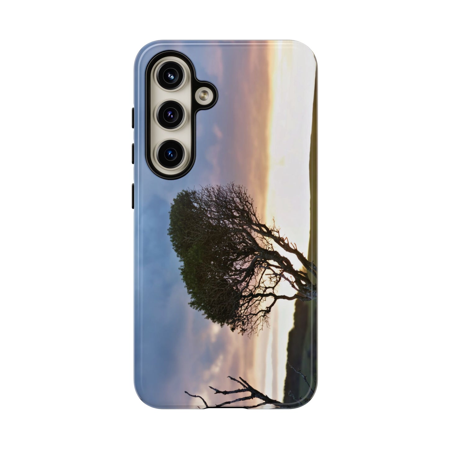 Serene Landscape of a Winter Sunrise: Melaleuca lanceolata in Cape Schank 6281 - Tough Case
