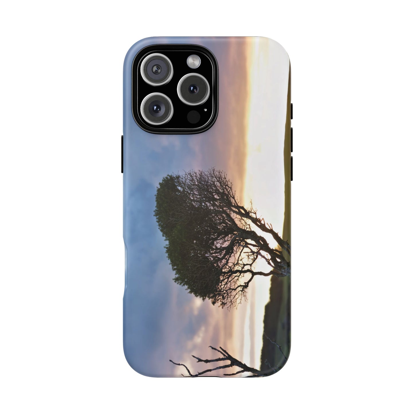 Serene Landscape of a Winter Sunrise: Melaleuca lanceolata in Cape Schank 6281 - Tough Case