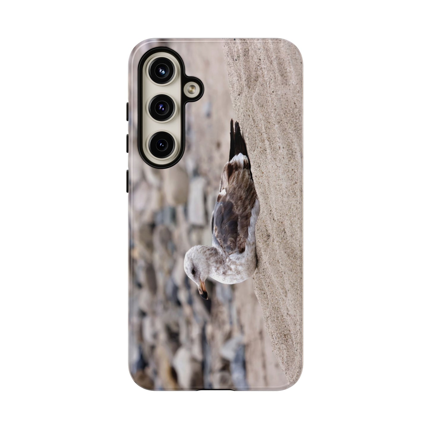 Seagull Serenity on the Shore 4278 - Tough Case