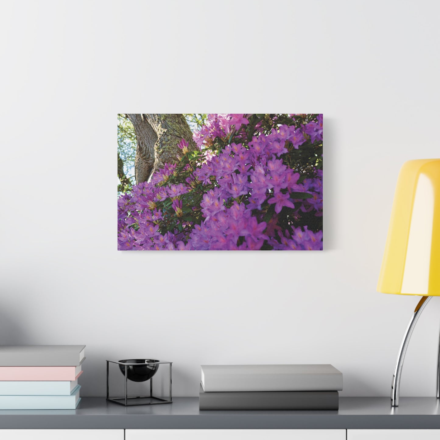 Azaleas in Bloom 3011 - Thick Matte Canvas Print