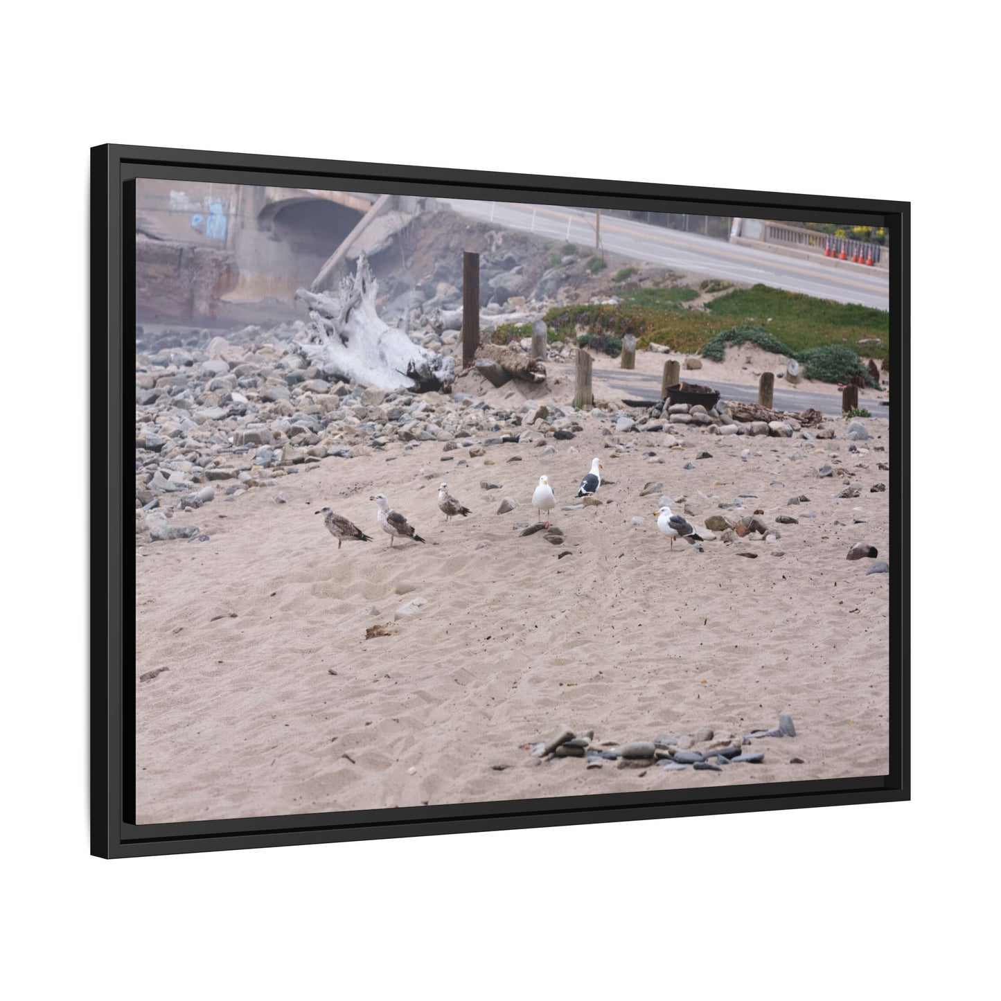 California Shoreline Escape 4275 - Thick Matte Canvas Print, Framed