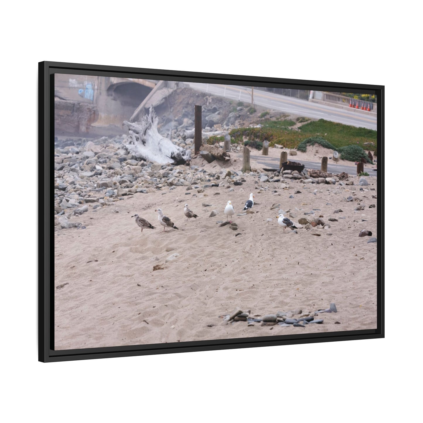 California Shoreline Escape 4275 - Thick Matte Canvas Print, Framed