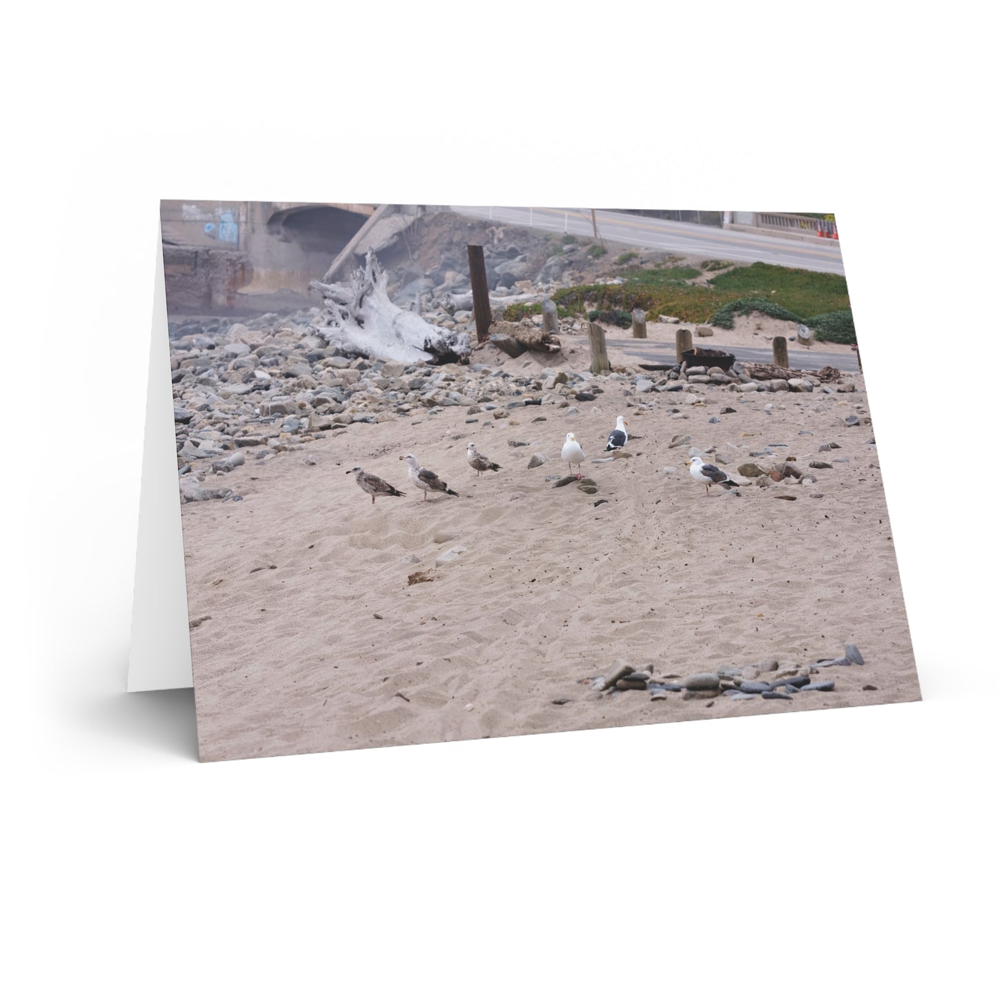 California Shoreline Escape 4275 - Greeting Card
