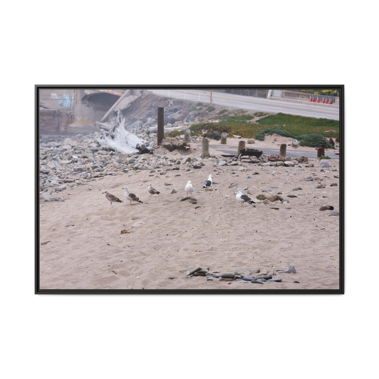 California Shoreline Escape 4275 - Thick Matte Canvas Print, Framed