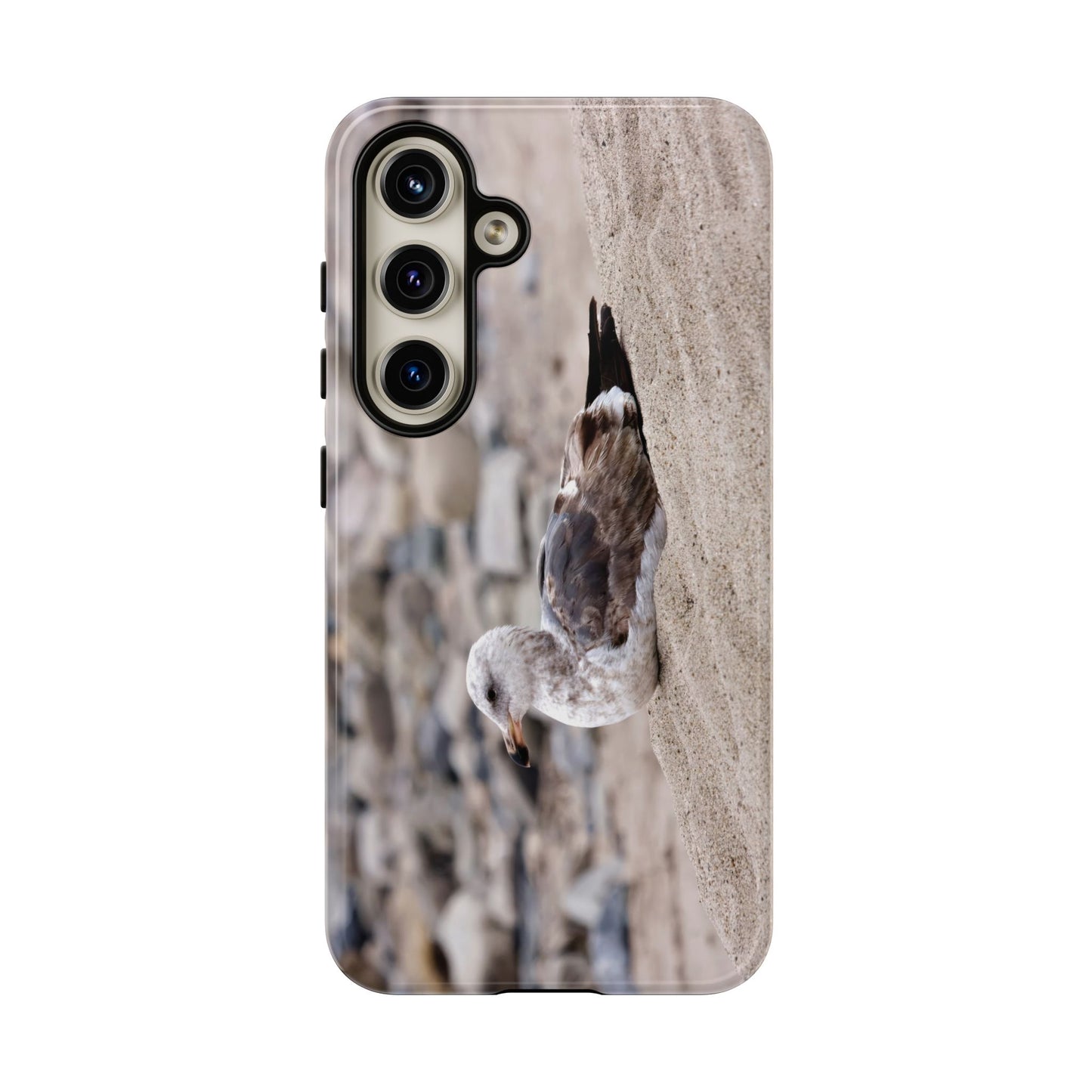 Seagull Serenity on the Shore 4278 - Tough Case