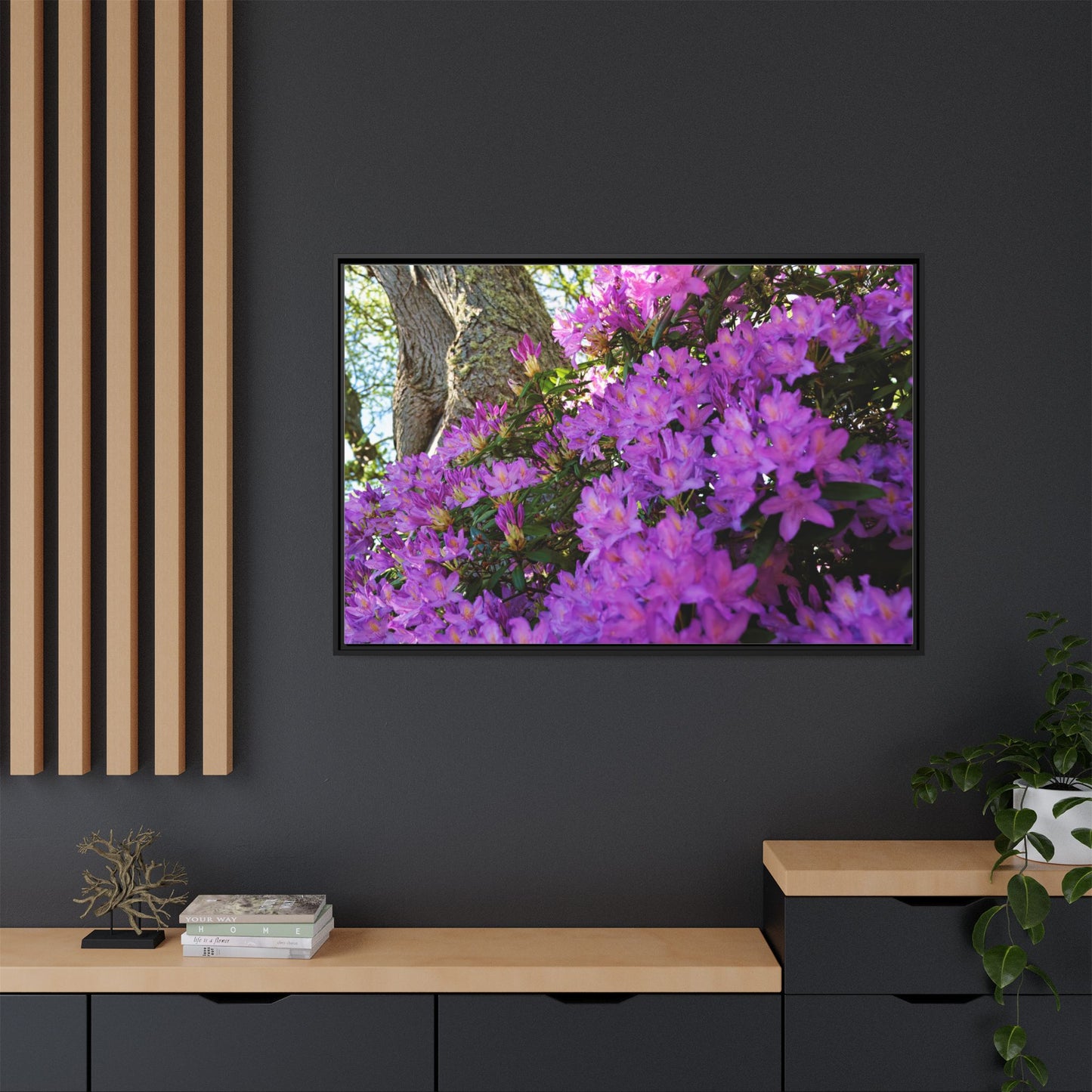 Azaleas in Bloom 3011 - Thick Matte Canvas Print, Framed