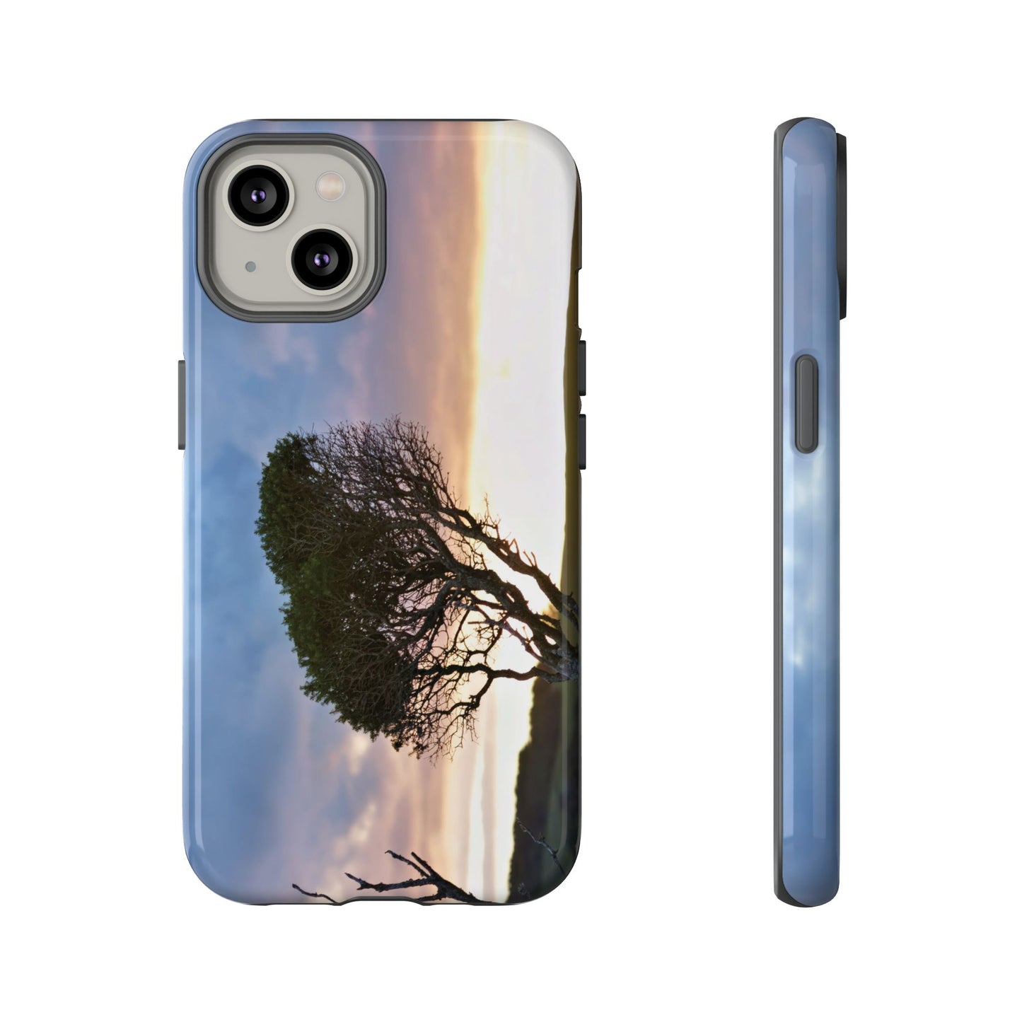 Serene Landscape of a Winter Sunrise: Melaleuca lanceolata in Cape Schank 6281 - Tough Case
