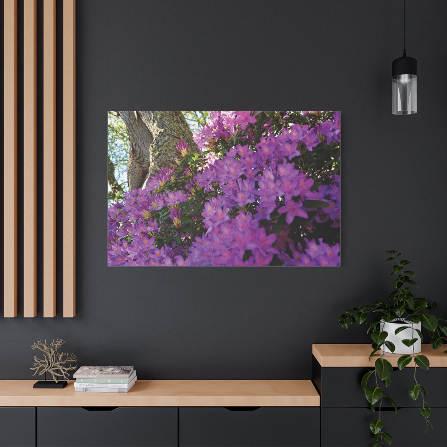 Azaleas in Bloom 3011 - Thick Matte Canvas Print