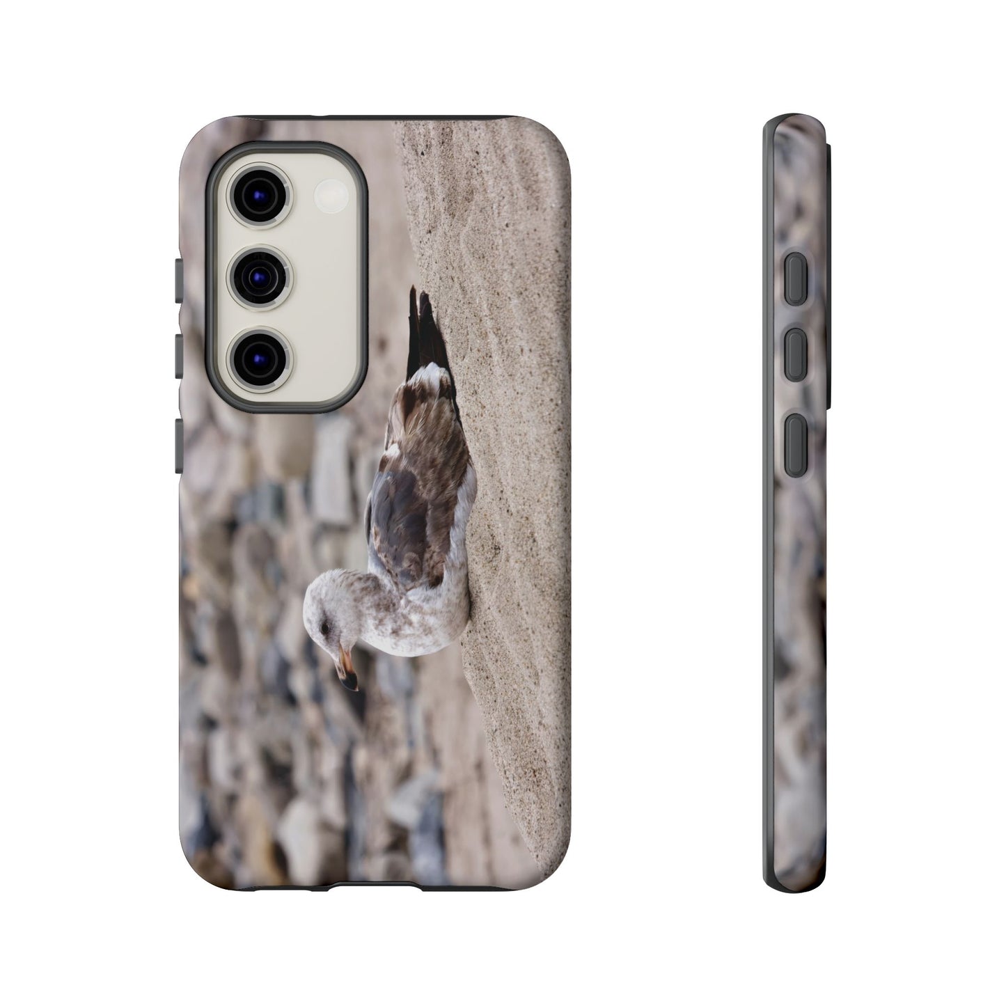 Seagull Serenity on the Shore 4278 - Tough Case