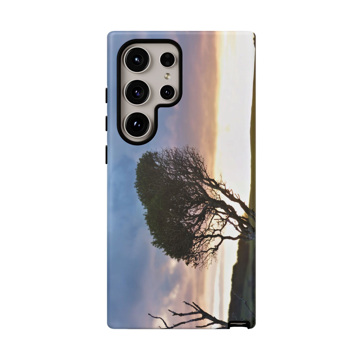 Serene Landscape of a Winter Sunrise: Melaleuca lanceolata in Cape Schank 6281 - Tough Case