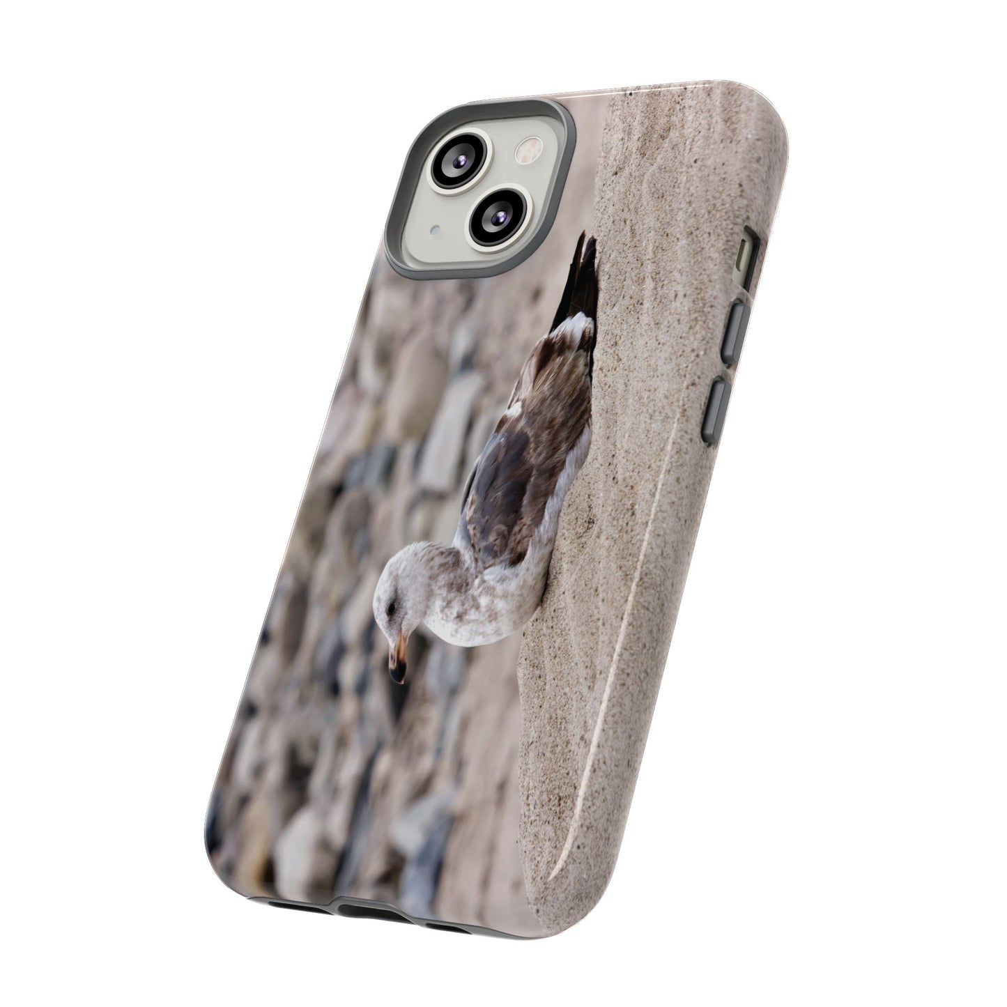 Seagull Serenity on the Shore 4278 - Tough Case