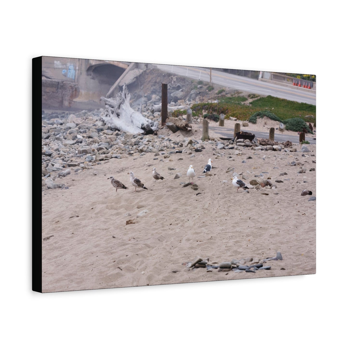 California Shoreline Escape 4275 - Thick Matte Canvas Print