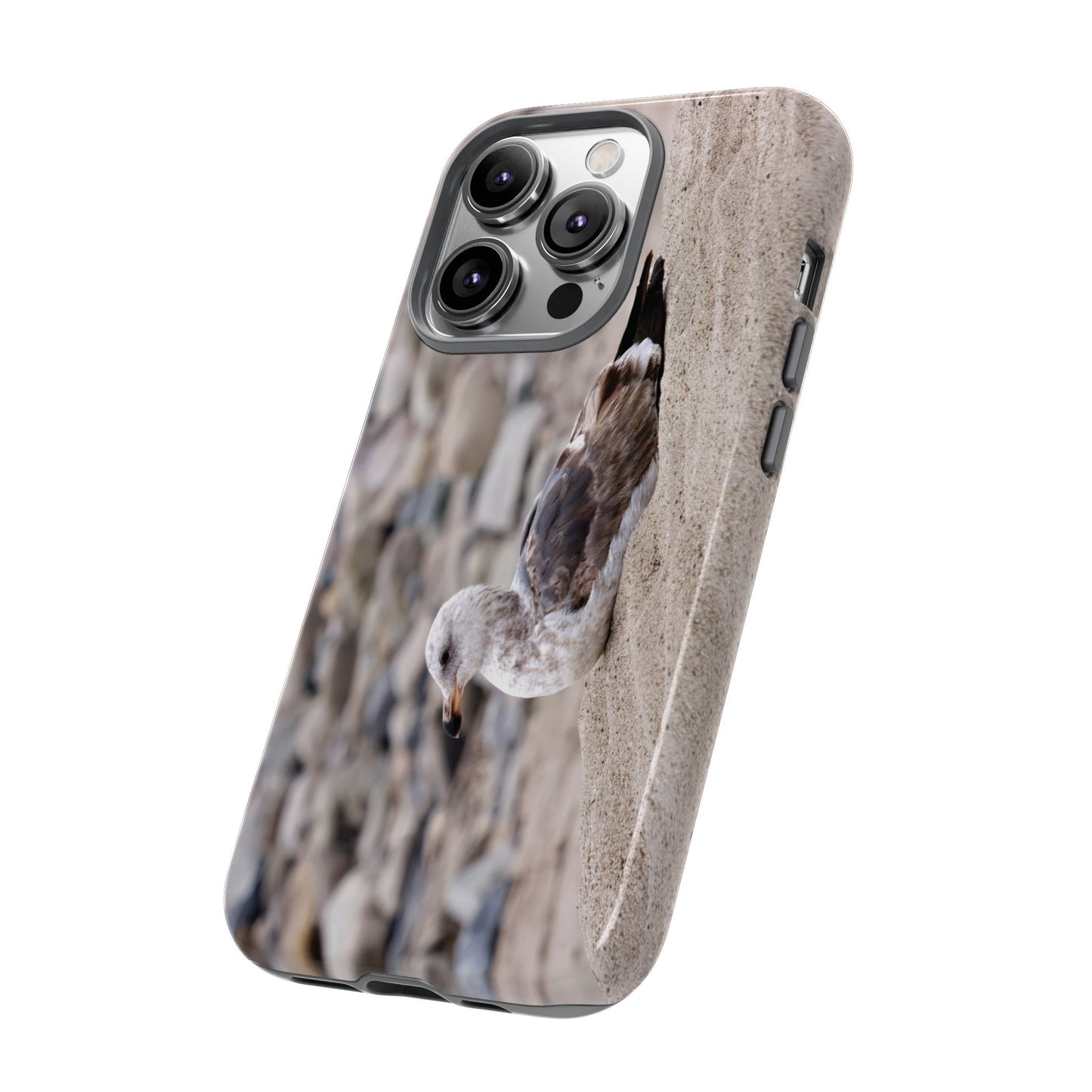 Seagull Serenity on the Shore 4278 - Tough Case