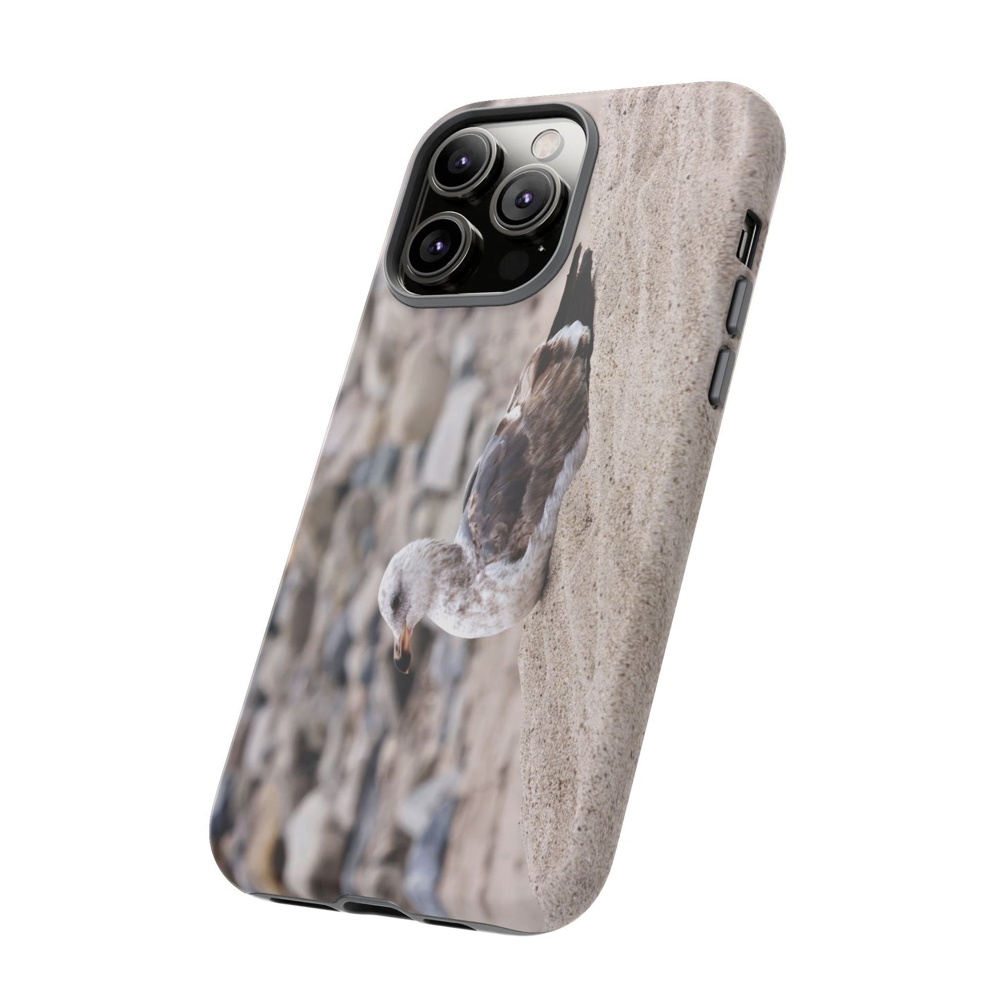 Seagull Serenity on the Shore 4278 - Tough Case