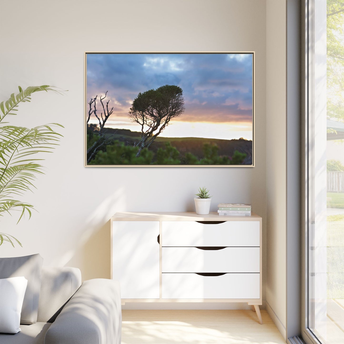 Melaleuca lanceolata in Cape Schank [6281] | Framed Canvas
