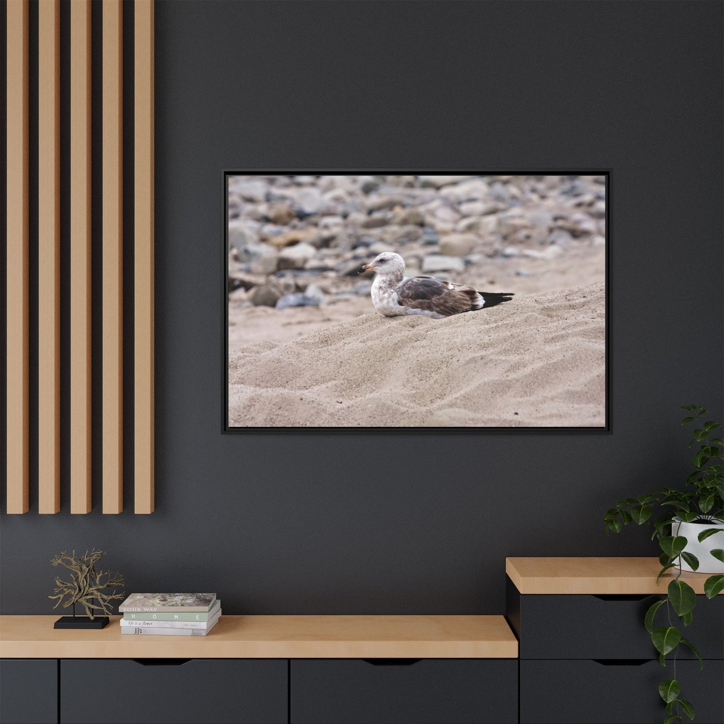 Seagull Serenity on the Shore 4278 - Thick Matte Canvas Print, Framed