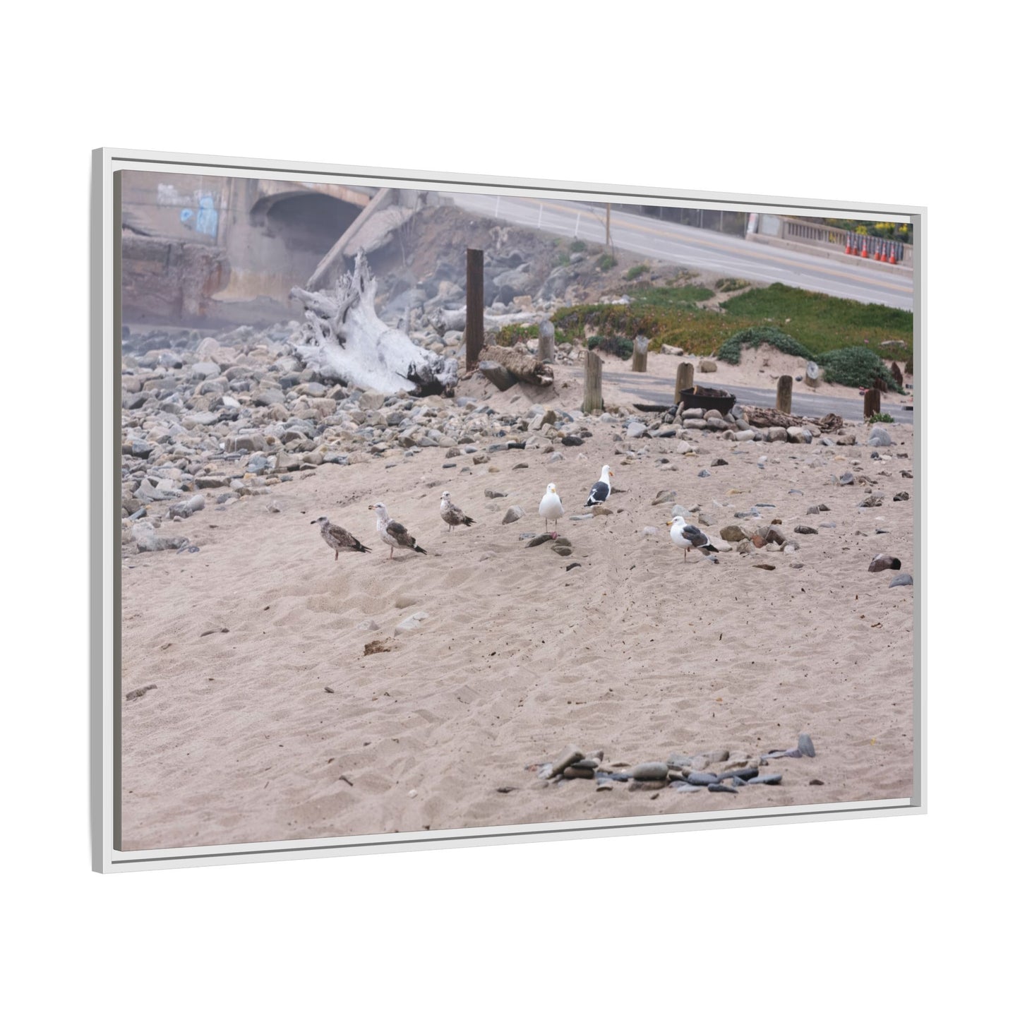 California Shoreline Escape [4275] | Framed Canvas