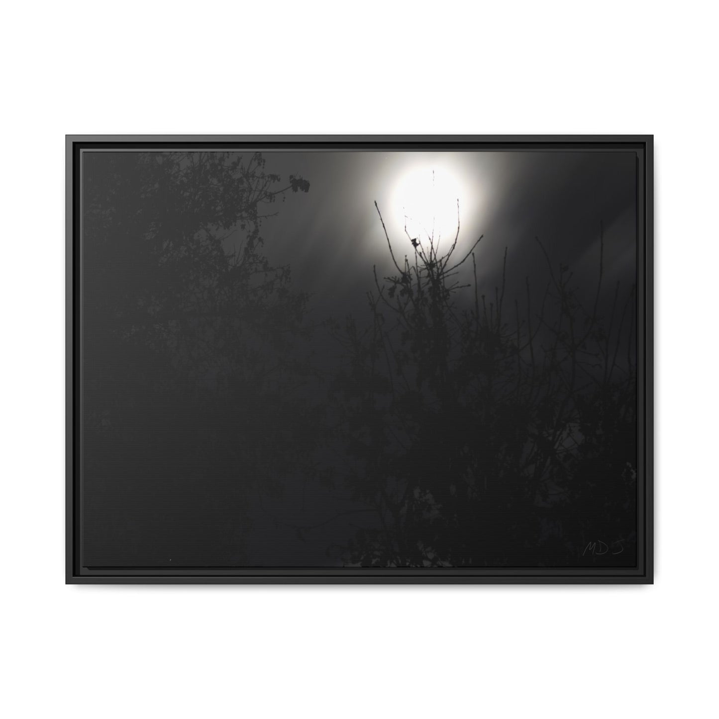 A Dance of Shadows Beneath the Moonlight [28] | Framed Canvas
