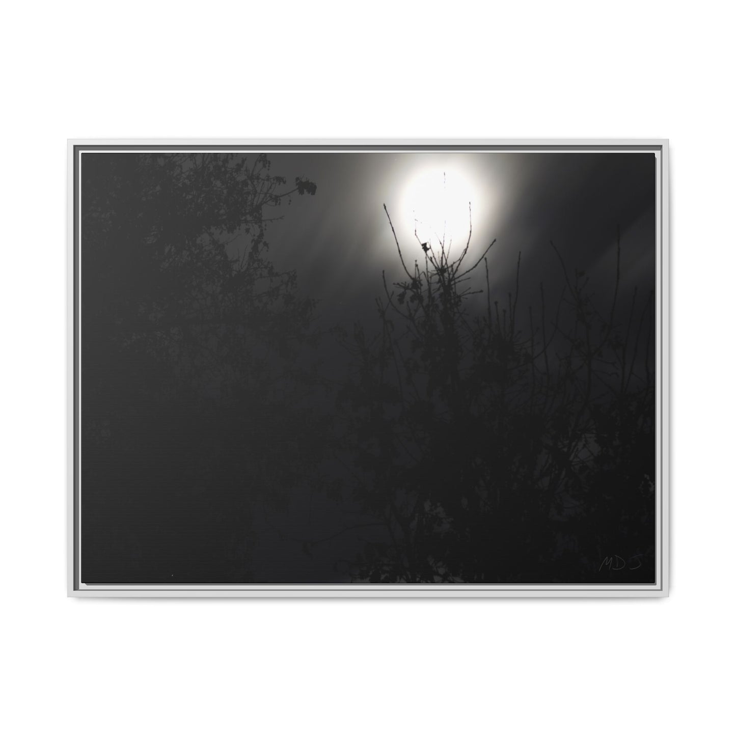 A Dance of Shadows Beneath the Moonlight [28] | Framed Canvas