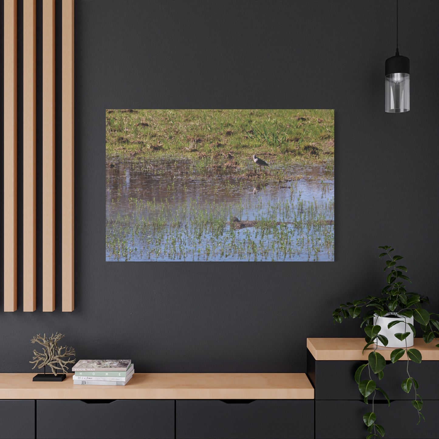 Sandpiper in Serene Wetland [2897] | Stretched Canvas