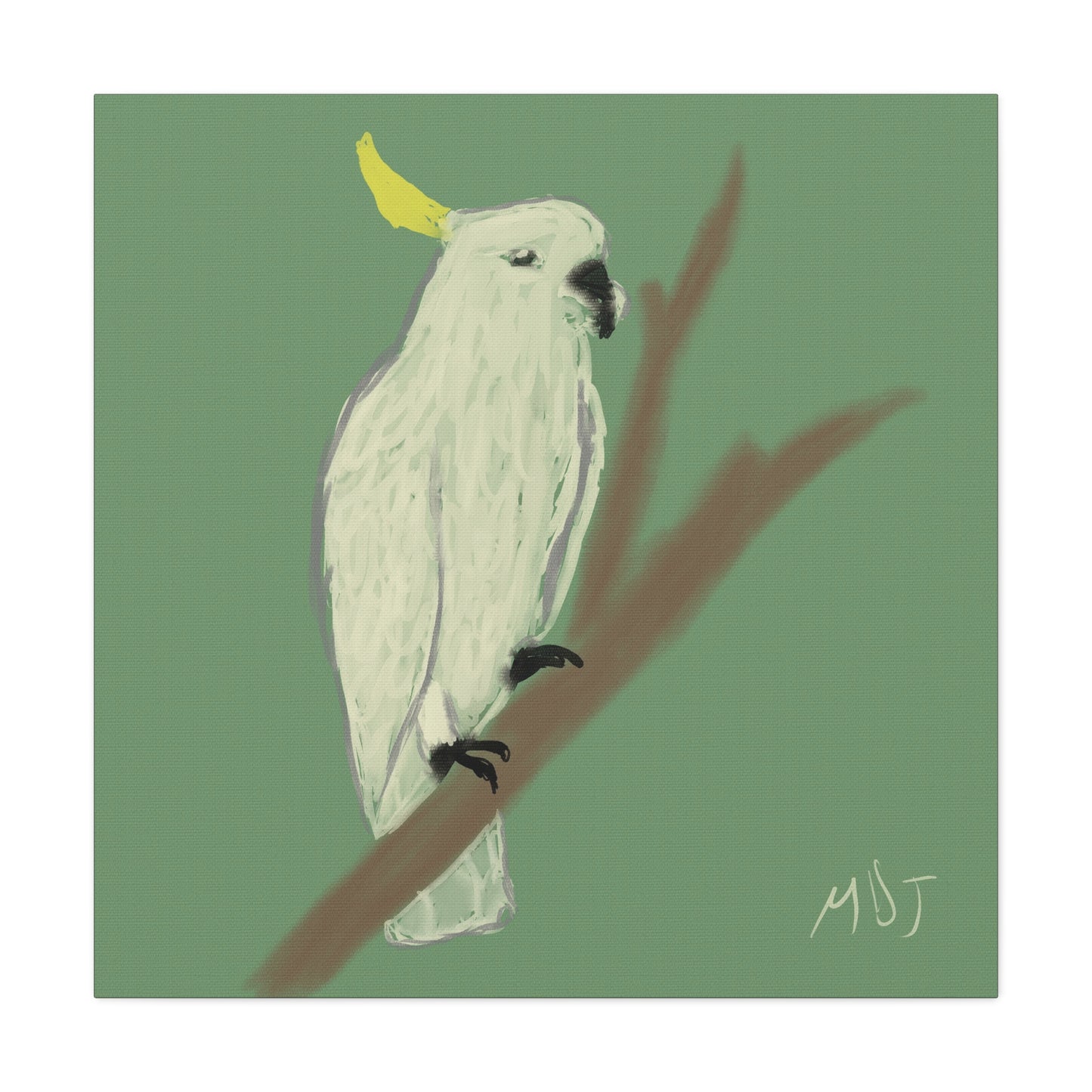 Cockatoo Charm - Canvas Print
