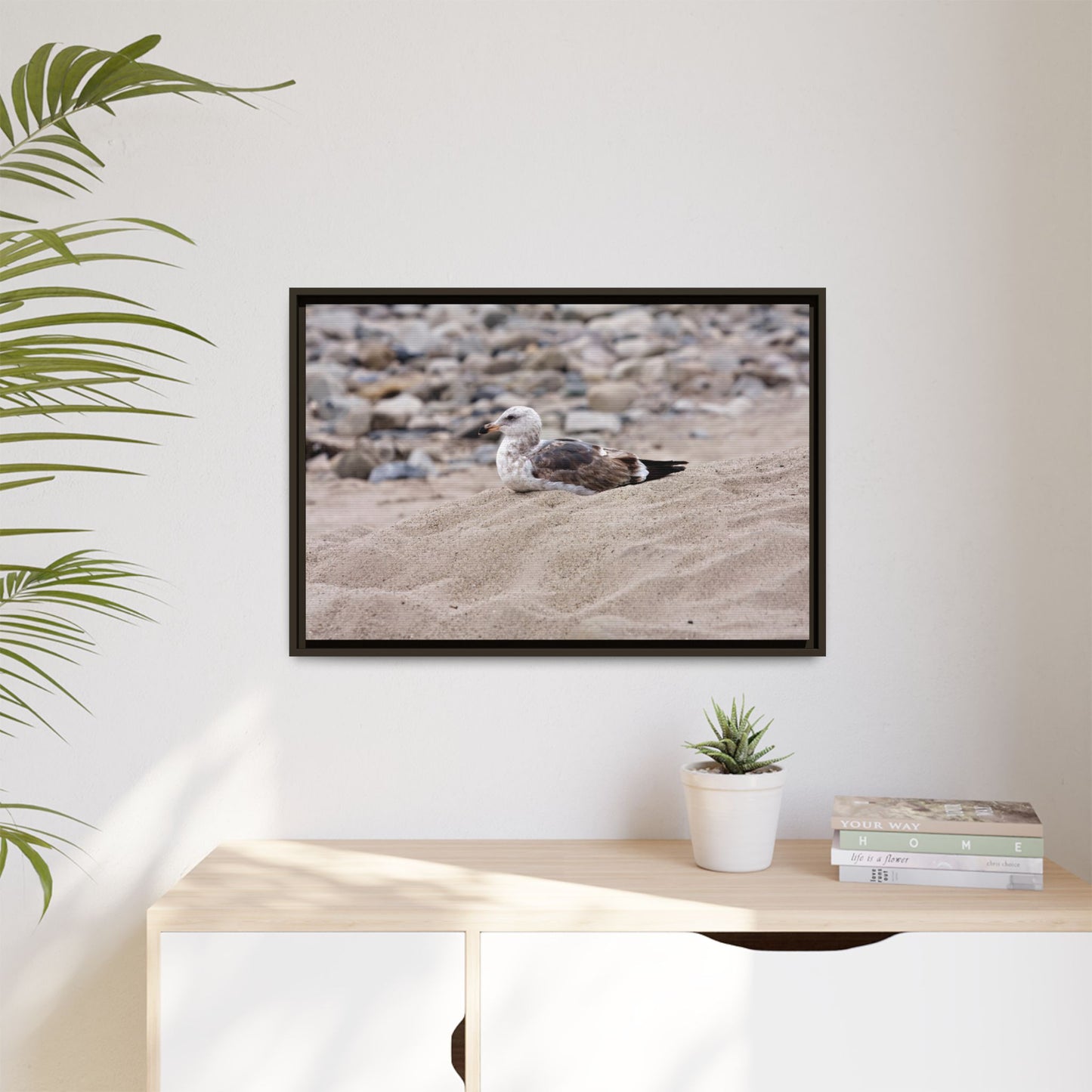 Seagull Serenity on the Shore 4278 - Thick Matte Canvas Print, Framed