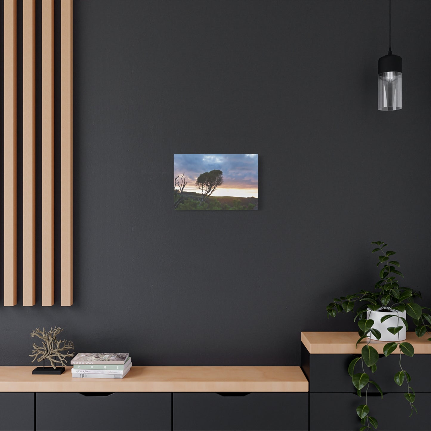 Serene Landscape of a Winter Sunrise: Melaleuca lanceolata in Cape Schank 6281 - Thick Matte Canvas Print